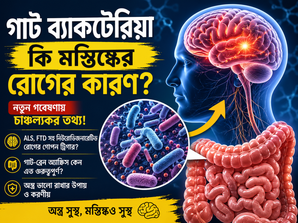 গাট ব্যাকটেরিয়া কি মস্তিষ্কের রোগের গোপন কারণ? নতুন গবেষণায় চাঞ্চল্যকর তথ্য 5
