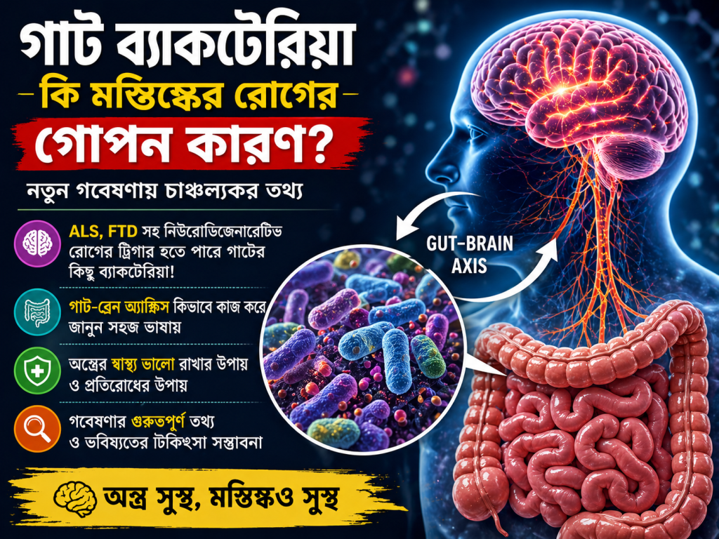 গাট ব্যাকটেরিয়া কি মস্তিষ্কের রোগের গোপন কারণ? নতুন গবেষণায় চাঞ্চল্যকর তথ্য গাট ব্যাকটেরিয়া কি মস্তিষ্কের রোগের গোপন কারণ? নতুন গবেষণায় চাঞ্চল্যকর তথ্য 2